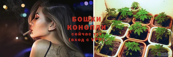 амф Горнозаводск
