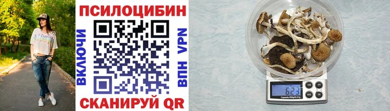 Купить где  Светлый  Псилоцибиновые грибы Psilocybine cubensis 